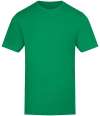 AT001 Unisex 150 T Shirt Kelly Green colour image